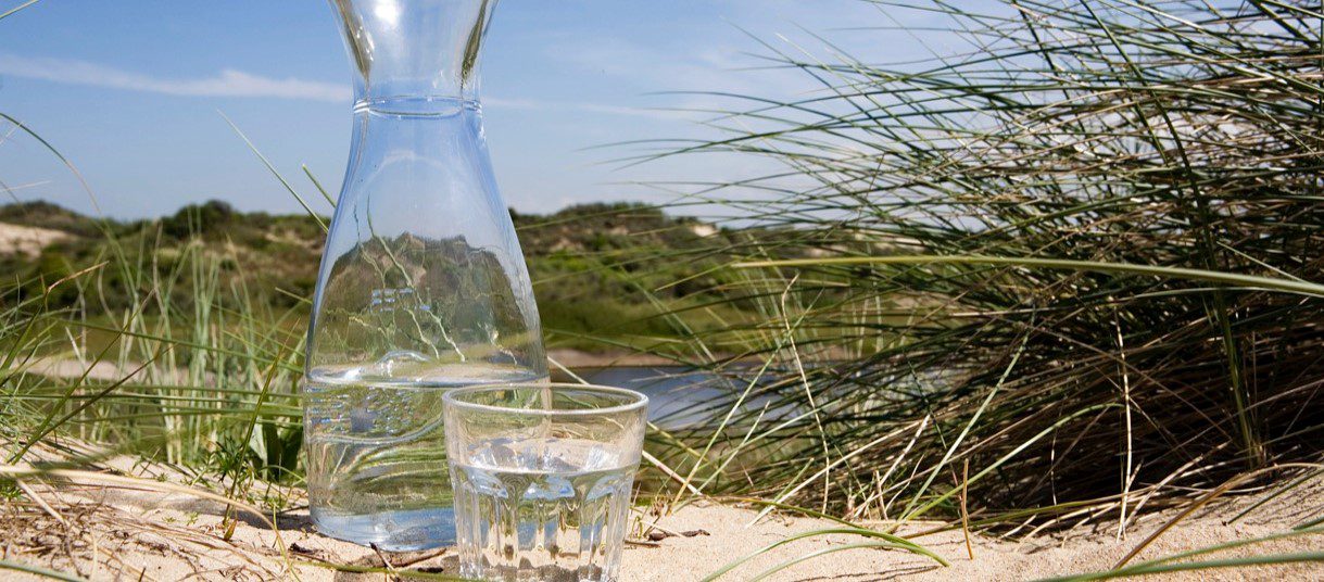 A clear glass carafe filled with water and a glass half-filled with water are placed on sandy ground amidst tall green grasses. The setting appears to be a coastal dune, with a calm, scenic landscape in the background featuring grassy hills and a distant water body under a bright blue sky. The overall scene conveys a sense of refreshment and tranquility, highlighting the natural beauty of the outdoors.